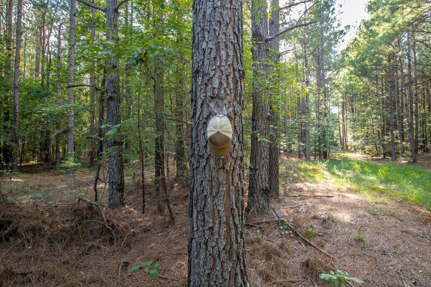 Hearn Rd Cairo Rd White ln, Pheba, MS for sale - Building Photo - Image 3 of 33