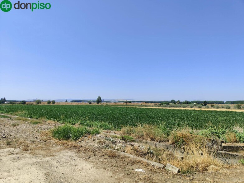 Carretera de Pinos Puente, Atarfe, Granada for sale - Building Photo - Image 2 of 9