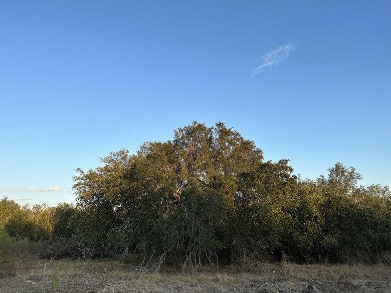 00 Hwy 90 w, Castroville, TX for sale - Primary Photo - Image 1 of 12