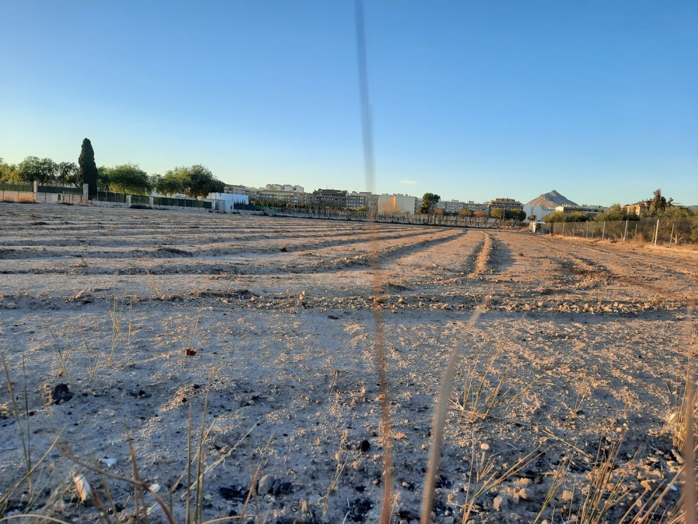 Land in Novelda, Alicante for sale Site Plan- Image 1 of 6