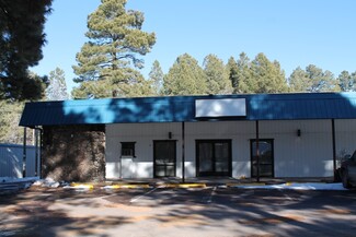 More details for 674 E White Mountain Blvd, Pinetop, AZ - Office/Retail for Rent