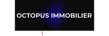OCTOPUS IMMOBILIER