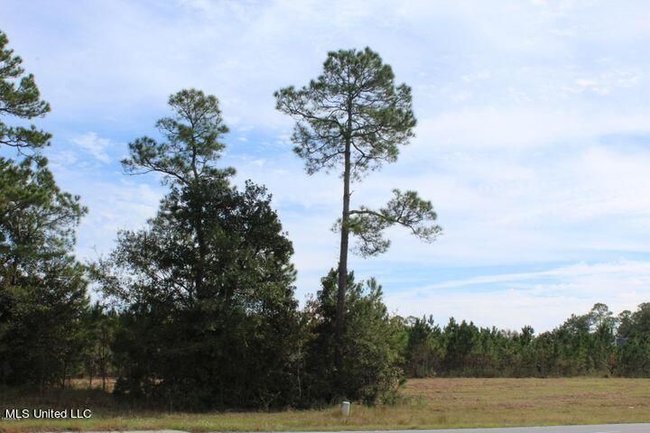 3.5 Acres Tucker Rd, Vancleave, MS for sale - Other - Image 3 of 6