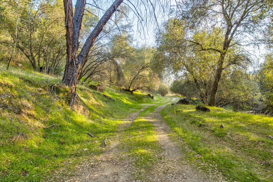 50871 Road 200, O Neals, CA for sale - Building Photo - Image 3 of 51