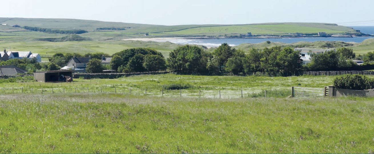 Keoltag Dr, Thurso for sale Primary Photo- Image 1 of 1