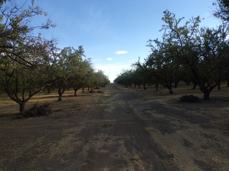 6679 Boles Road, Arbuckle, CA for sale - Building Photo - Image 2 of 4