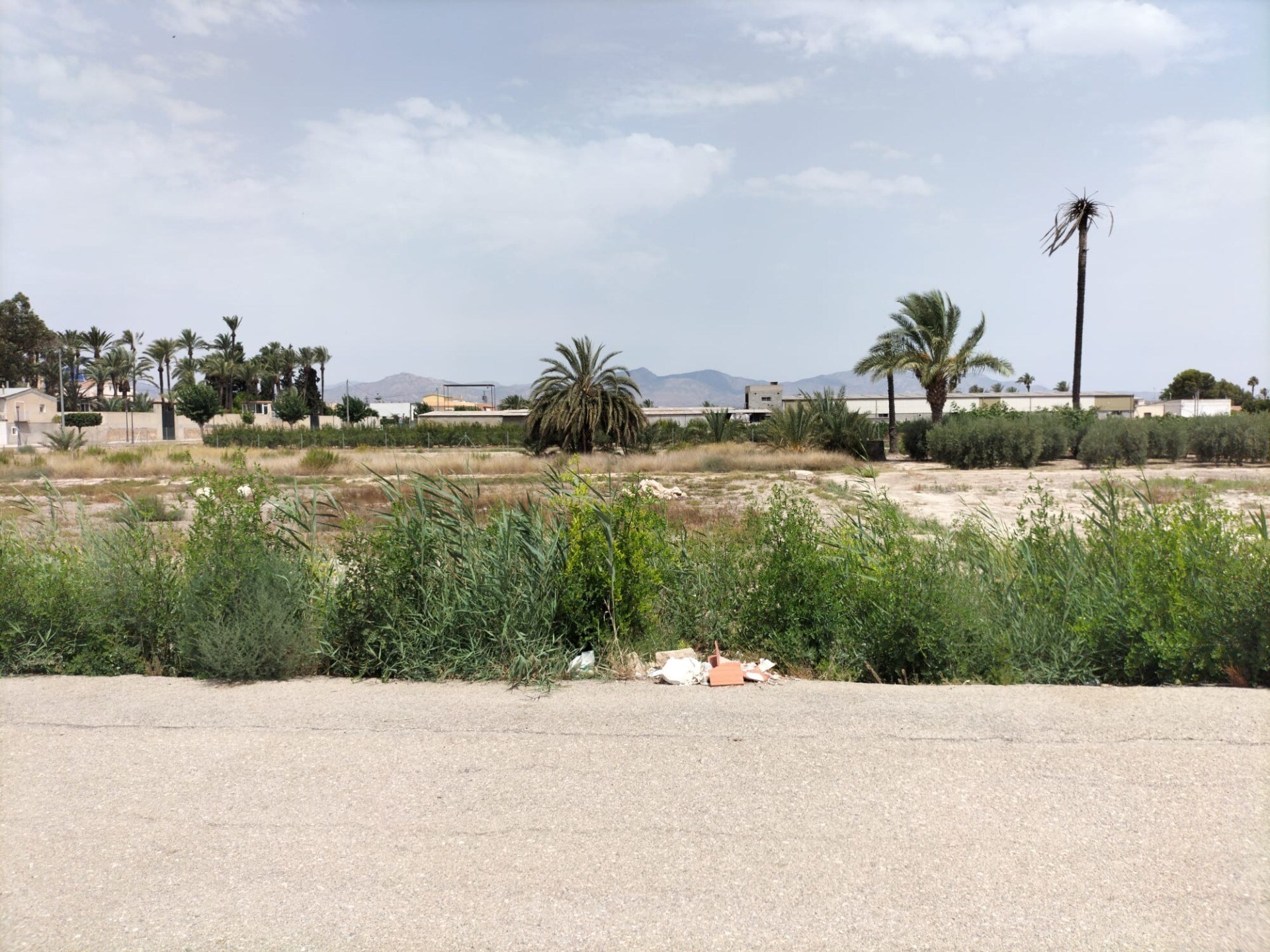 Land in Cox, Alicante for sale Building Photo- Image 1 of 4
