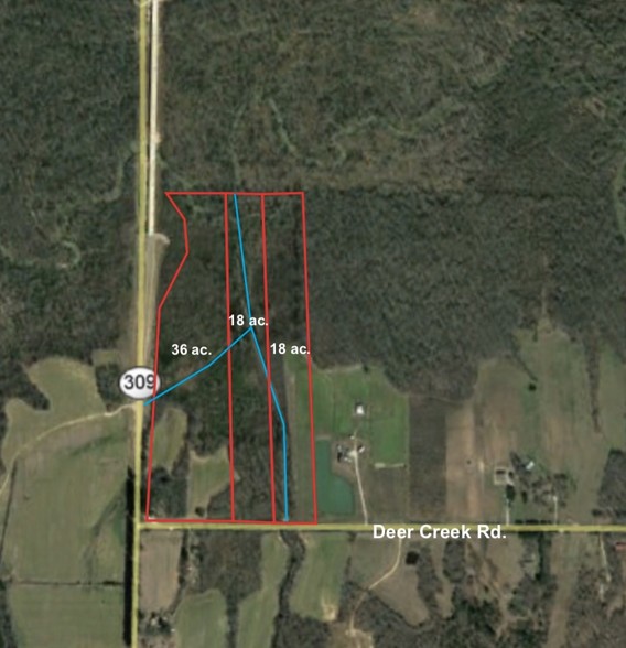 2900 Deer Creek Rd, Byhalia, MS for sale - Aerial - Image 1 of 1