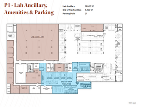 1629 Scotia St, Vancouver, BC for rent Floor Plan- Image 1 of 1