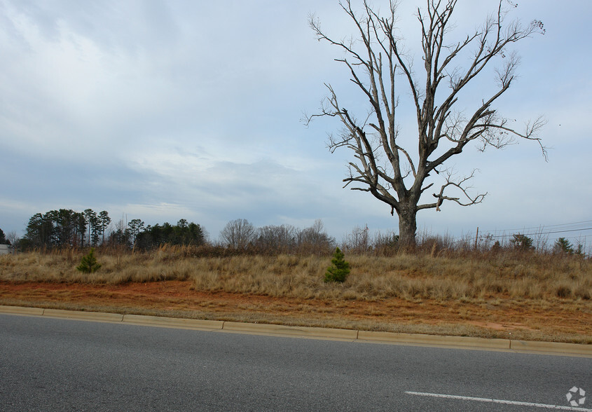 Catawba Valley Blvd, Hickory, NC for sale - Primary Photo - Image 1 of 1