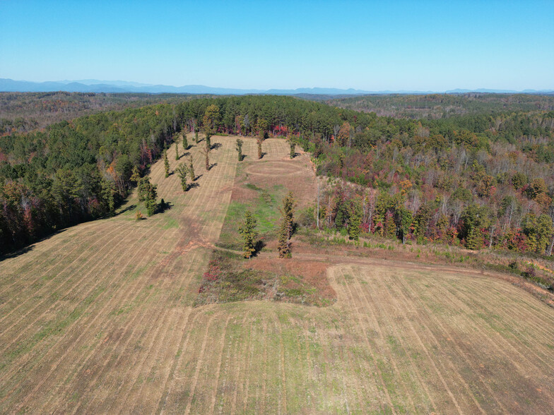 Corner of Ponder Rd. and Pea Ridge Rd., Mill Spring, NC for sale - Building Photo - Image 1 of 3