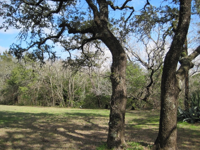 101 Creek Rd, Dripping Springs, TX for sale - Primary Photo - Image 1 of 1