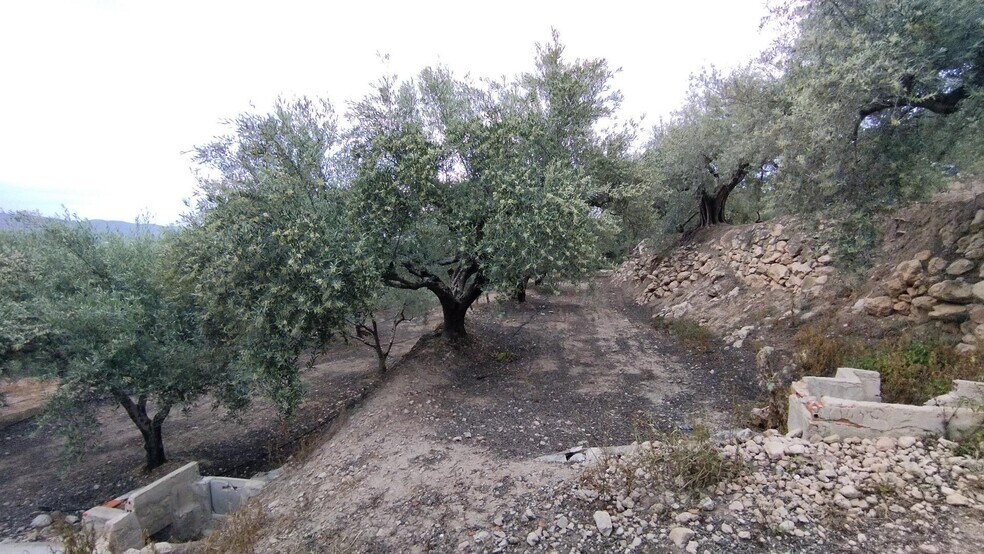 Land in Calasparra, Murcia for sale - Building Photo - Image 3 of 9