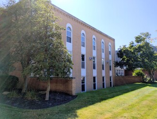 More details for 15 Mentor Ave, Painesville, OH - Office for Rent