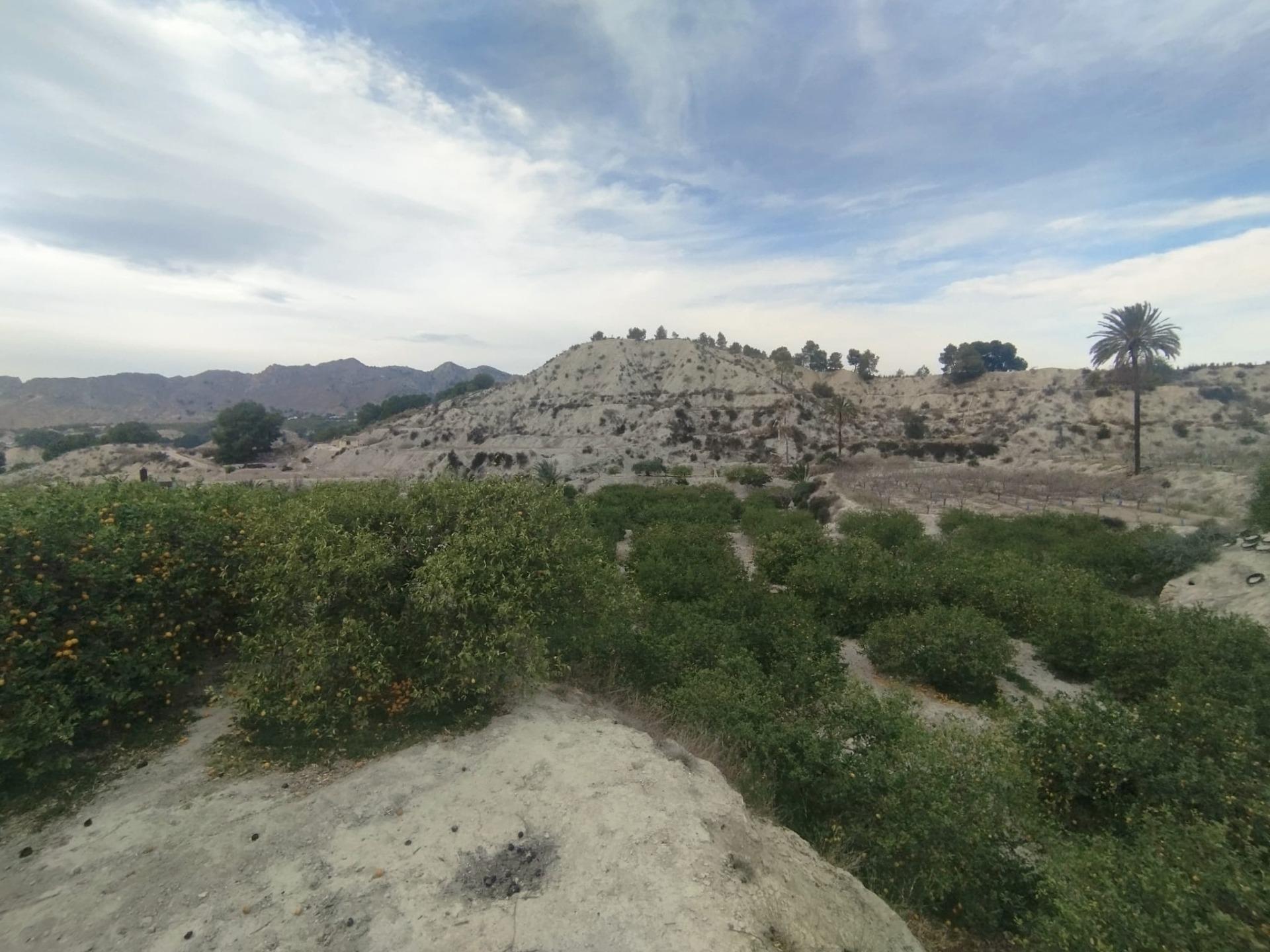 Land in Ulea, Murcia for sale Aerial- Image 1 of 13