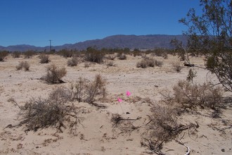 Ramona Dr, Twentynine Palms, CA for sale Primary Photo- Image 1 of 1