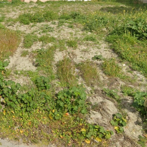 Land in Esquivias, Toledo for sale - Building Photo - Image 3 of 5