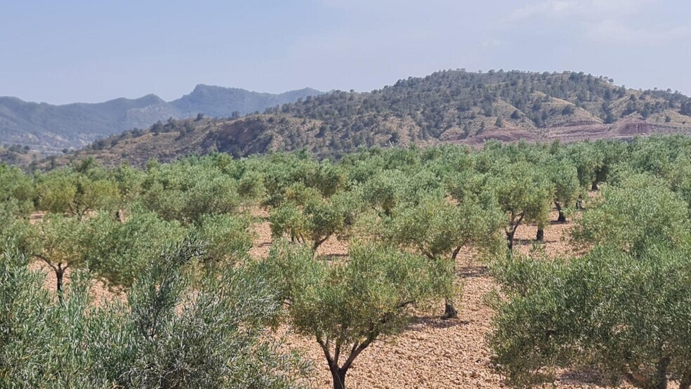 Land in Abanilla, Murcia for sale - Primary Photo - Image 2 of 8