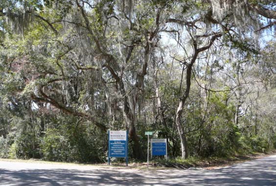 391 Hamilton Rd, Saint Simons Island, GA for sale - Primary Photo - Image 1 of 1