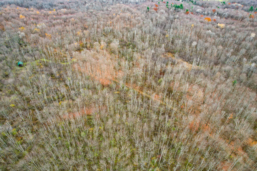 345 Orton Rd, Pulaski, NY for sale - Aerial - Image 2 of 34