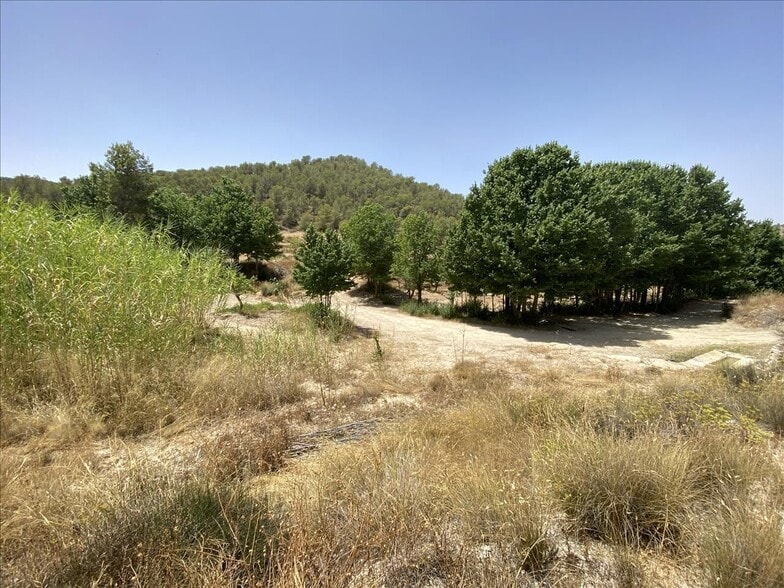 Camino del Peralejo, Sn, Jumilla, Murcia for sale - Building Photo - Image 2 of 17