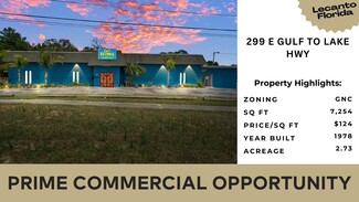 More details for 299 E Gulf To Lake Hwy, Lecanto, FL - Retail for Sale