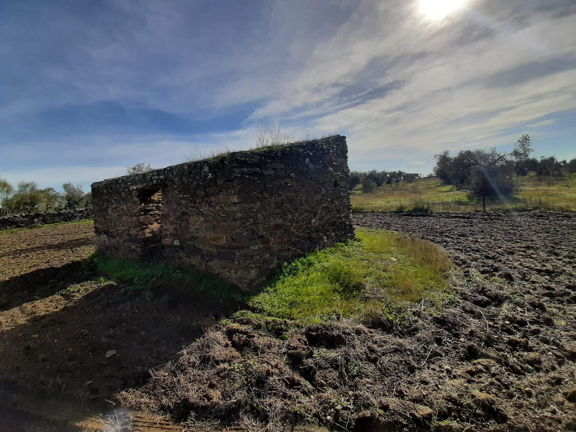 Land in Cáceres, Cáceres for sale Primary Photo- Image 1 of 14