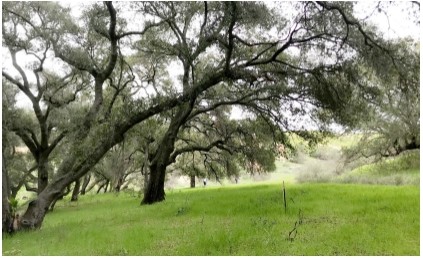 Old Coach Way, Poway, CA for sale - Primary Photo - Image 1 of 1