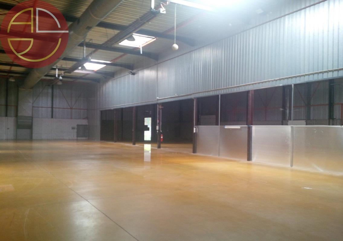 Industrial in Toulouse to rent Interior Photo- Image 1 of 11