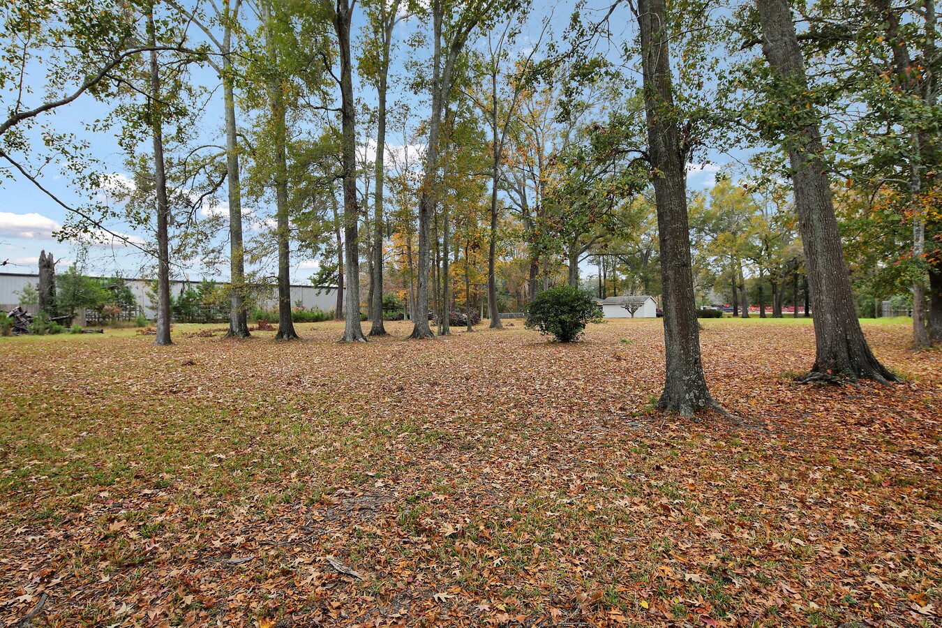 204 Dean Forest Rd, Savannah, GA 31408 UK