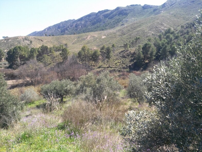 Land in Calasparra for sale - Building Photo - Image 2 of 10