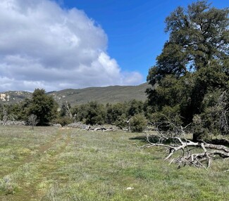 More details for Guatay, Descanso, CA - Land for Sale