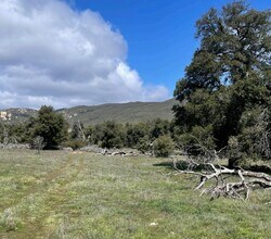 Guatay, Descanso, CA for sale Building Photo- Image 1 of 3