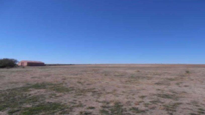 Land in Florida de Liébana, Salamanca to rent Aerial- Image 1 of 4