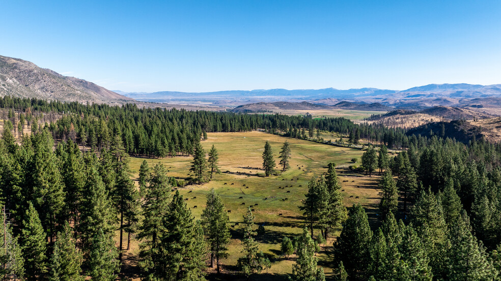 19320 CA-89, Markleeville, CA for sale - Building Photo - Image 1 of 33