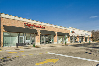 More details for 199-251 Brook Forest Ave, Shorewood, IL - Retail for Rent