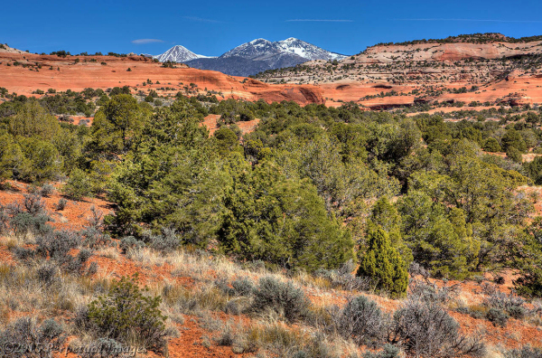 333 S Joe Wilson Dr, Monticello, UT for sale - Building Photo - Image 3 of 19