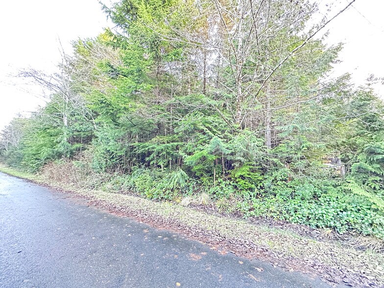 50 Rainbow, Pacific Beach, WA 98571 UK