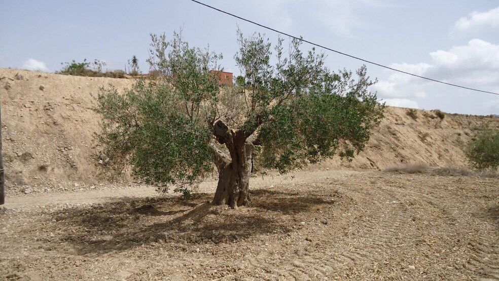 Land in Abanilla, Murcia for sale - Primary Photo - Image 3 of 31
