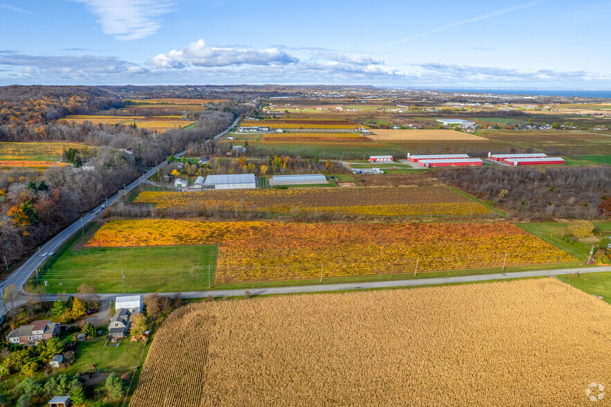 3811 King St, Lincoln, Lincoln, ON for sale - Aerial - Image 3 of 20