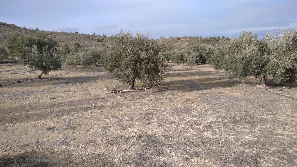 Land in Calasparra, Murcia for sale - Building Photo - Image 3 of 26