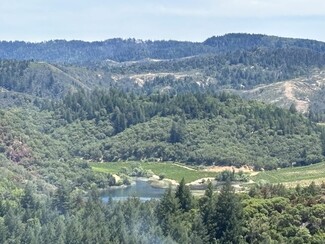 More details for 4901 Stewarts Point Skaggs Springs Road, Geyserville, CA - Land for Sale