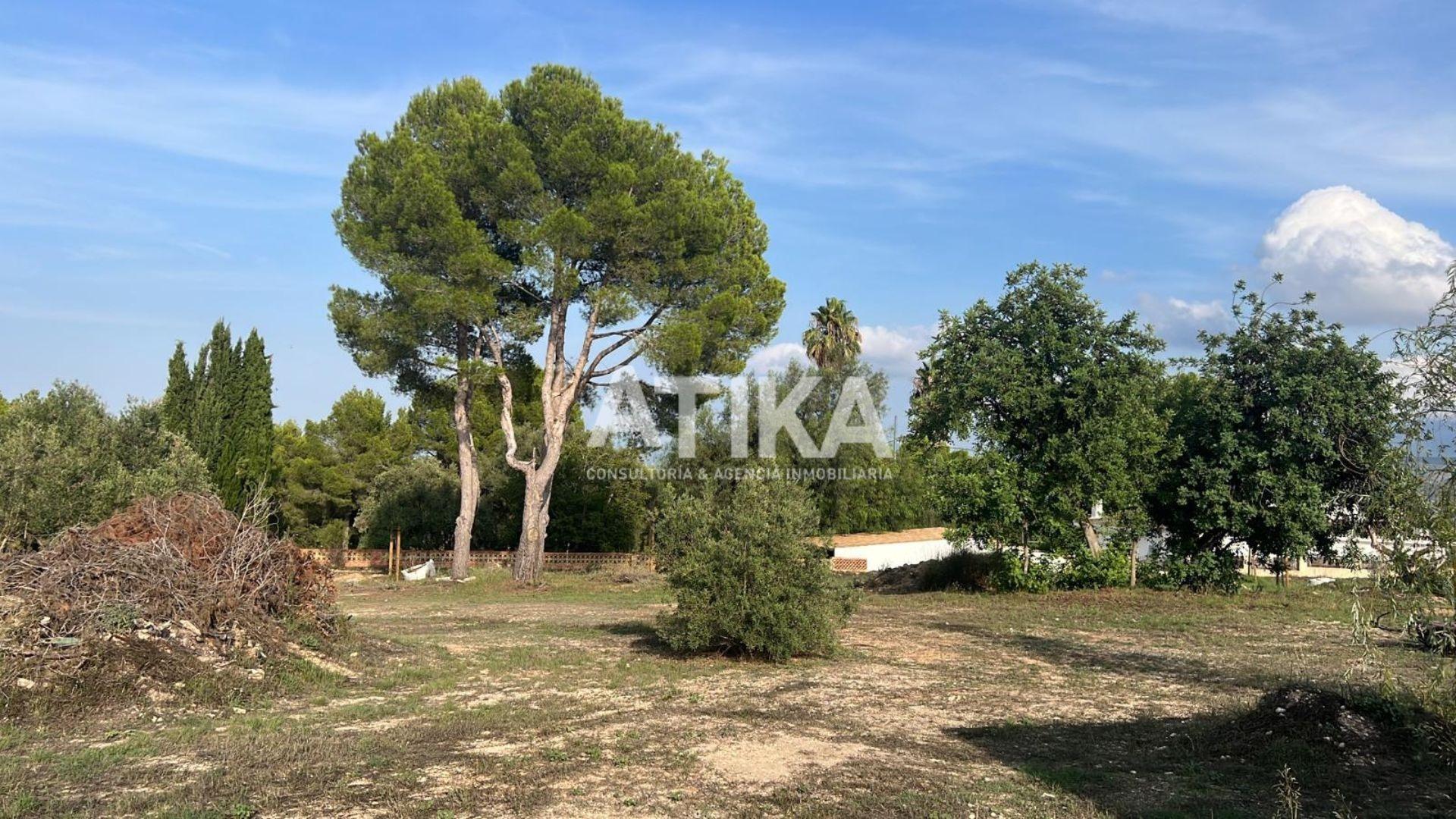 Land in Ontinyent, Valencia for sale Primary Photo- Image 1 of 13